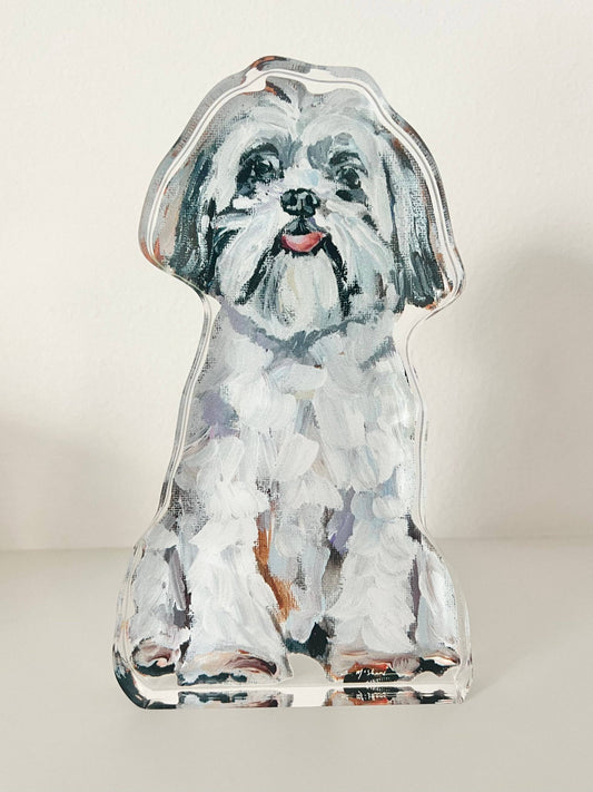 "Shih Tzu White" acrylic shelfie