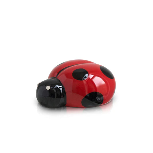 Lil' Ladybug NF