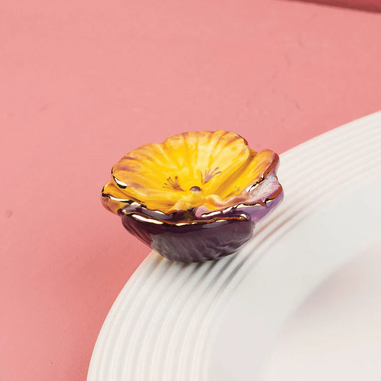 Pansy Pop NF