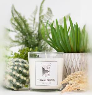 12oz Joshua Tree Candle